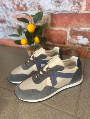 CAMPY-P2 MO?UMENT/PUMICE